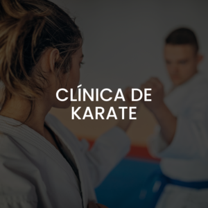 Clínica de karate